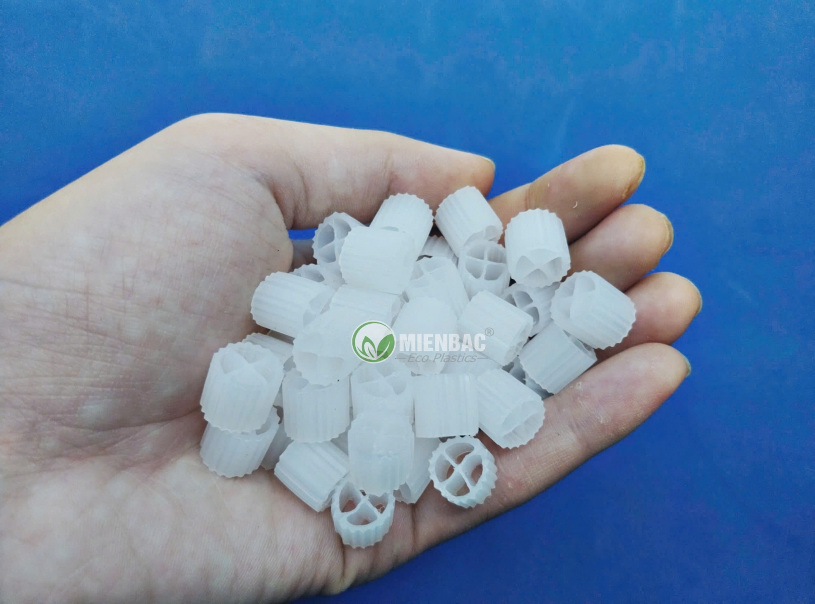 Giá thể vi sinh MBBR D8mm