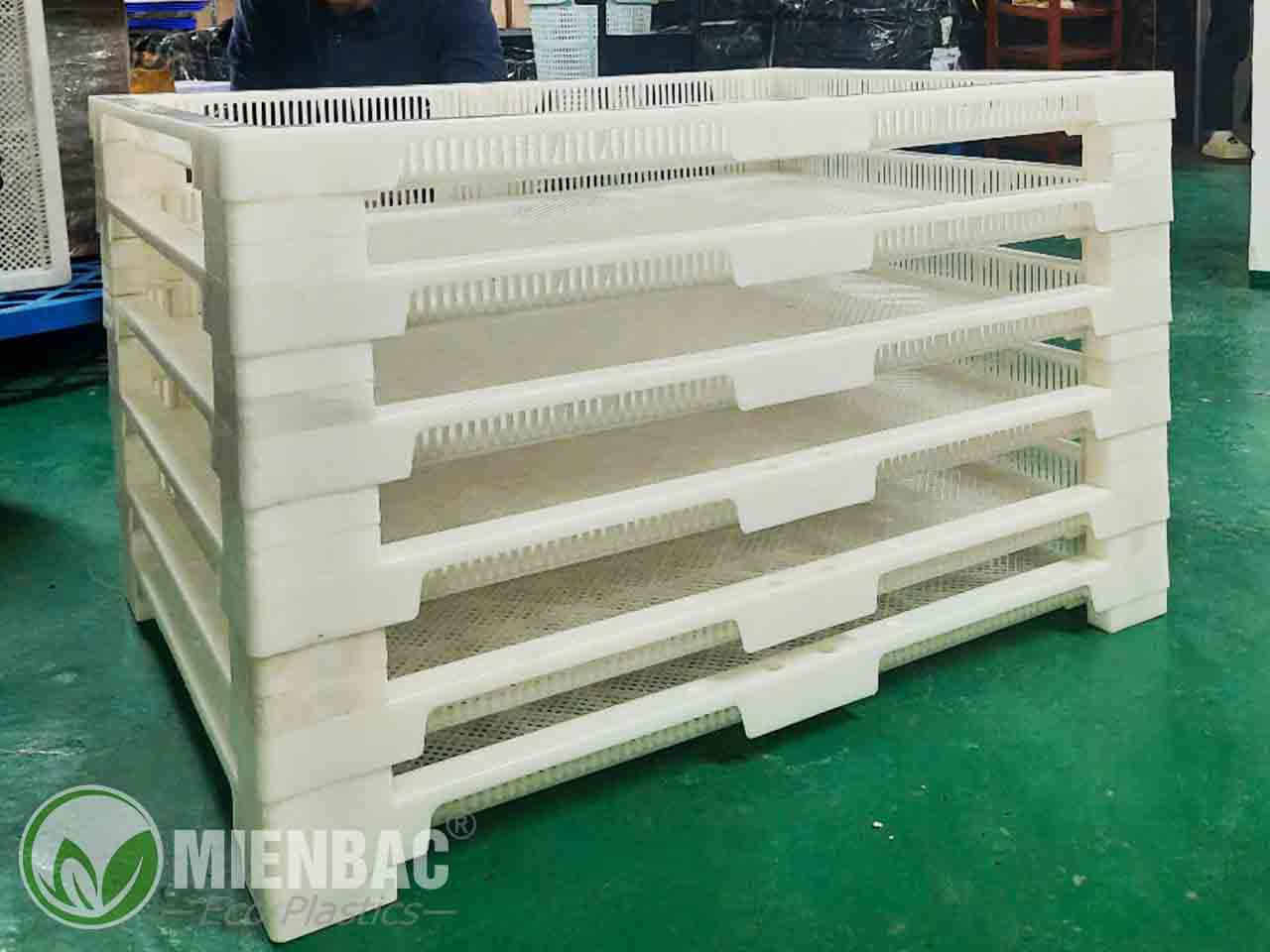 khay Sấy nhựa đa năng 60x80cm