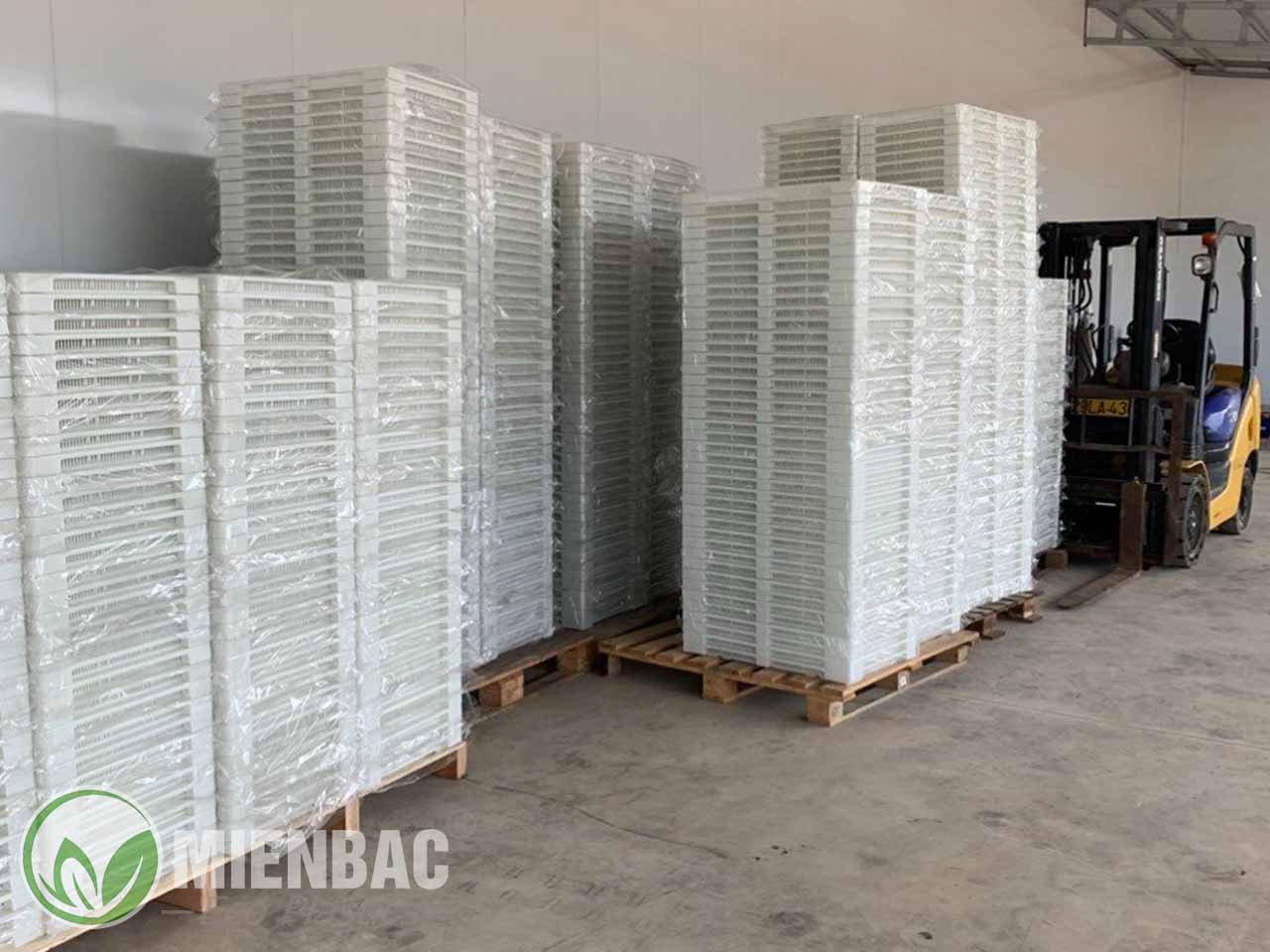 Khay sấy nhựa kích thước 50x75mm