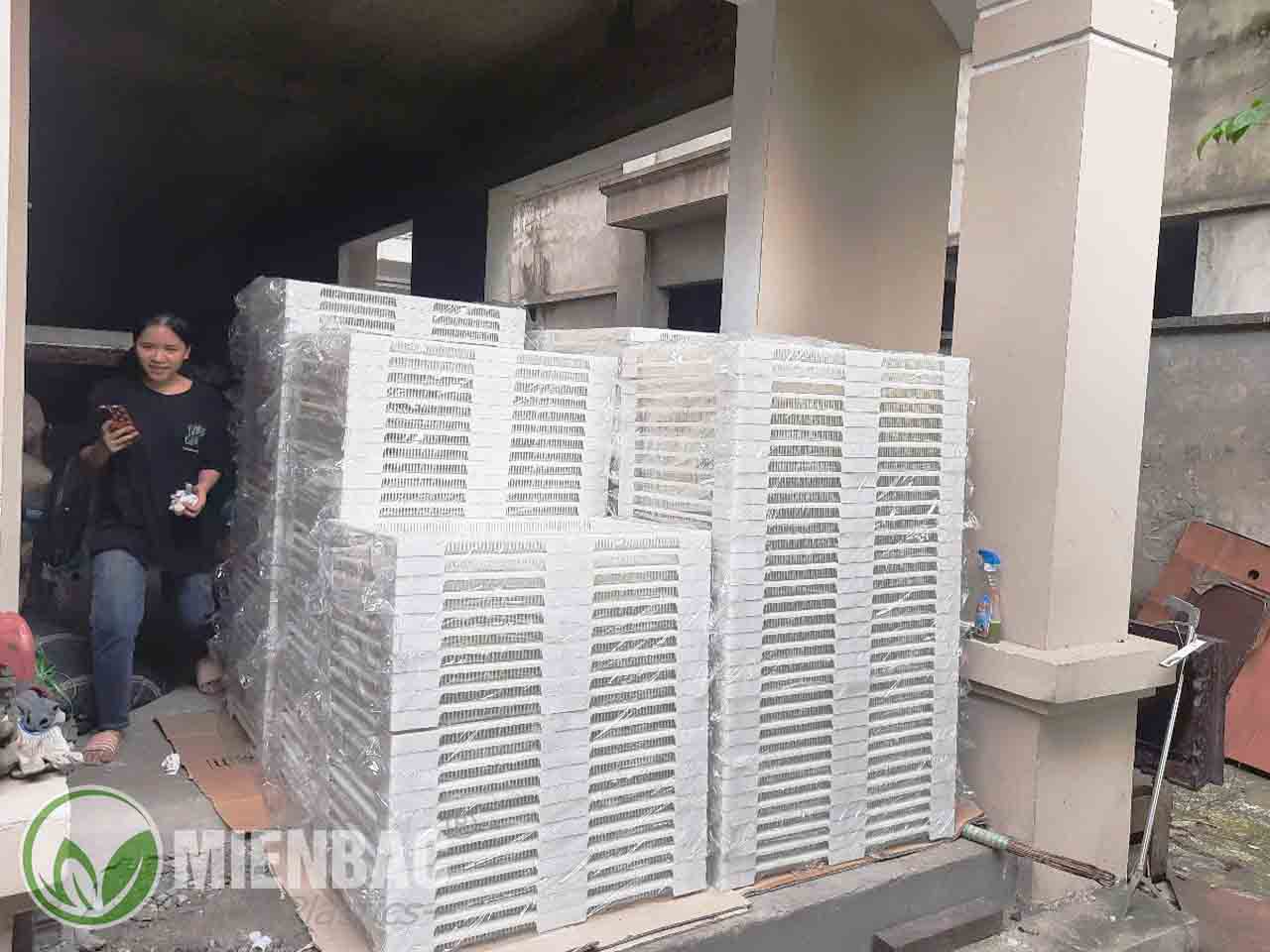 khay Sấy nhựa đa năng 60x80cm