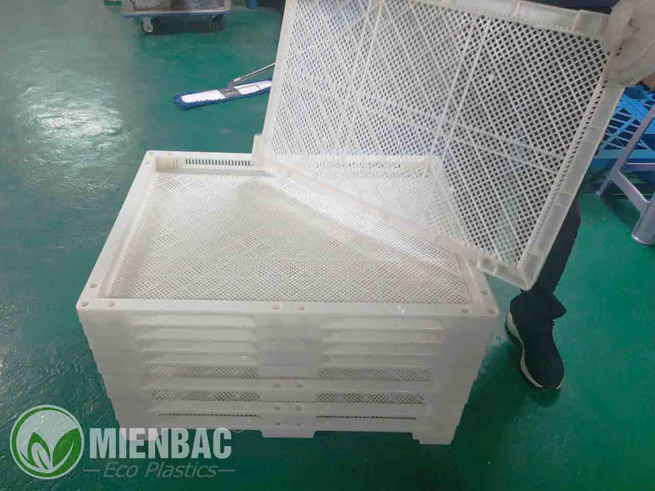 khay Sấy nhựa đa năng 60x80cm