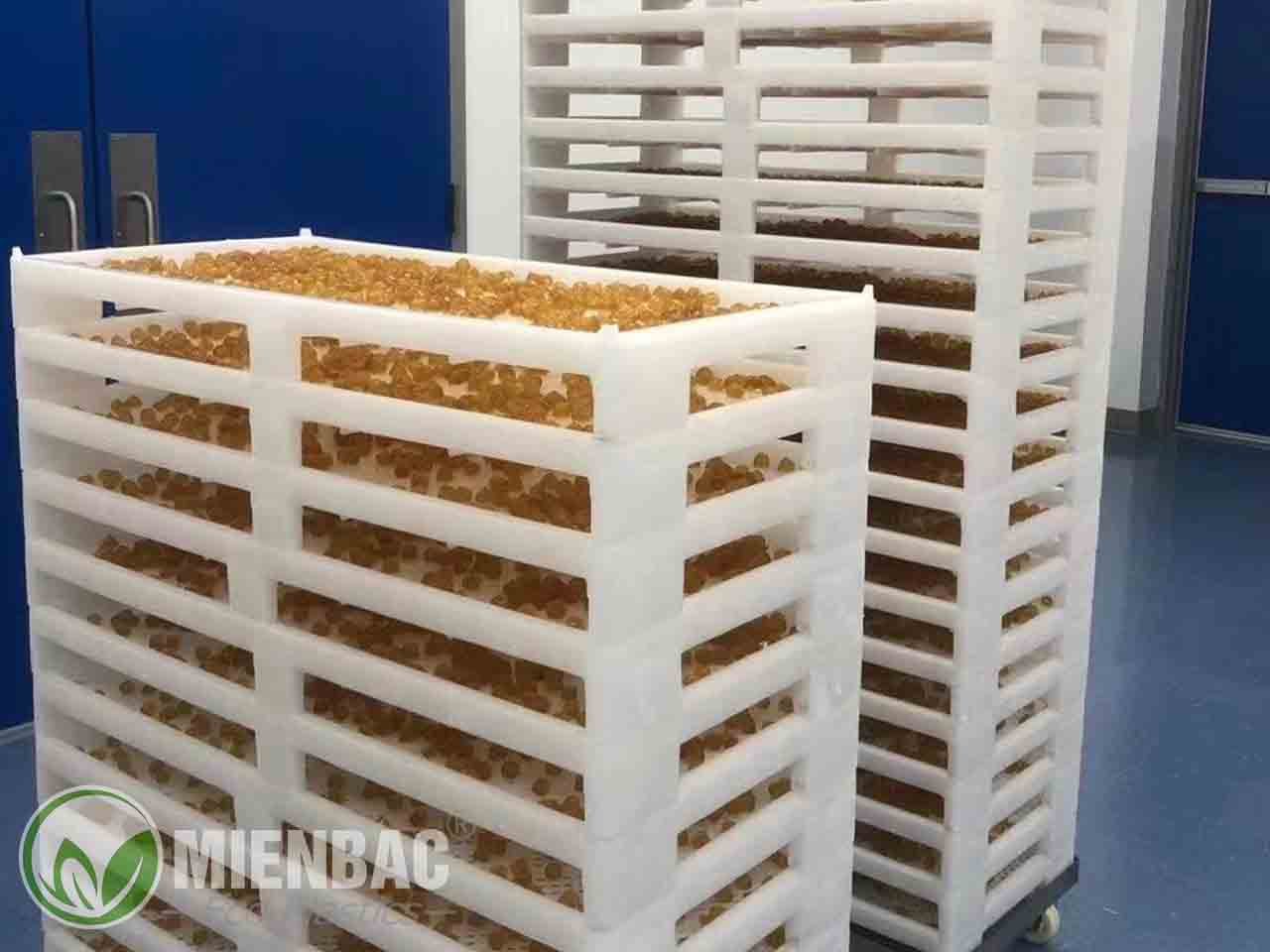 Khay sấy thuốc dùng trong phòng sạch 98mm x 42mm