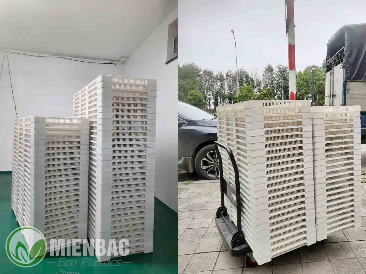 Khay sấy thuốc dùng trong phòng sạch 98mm x 42mm